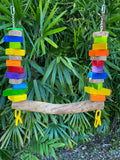 Bird Swings