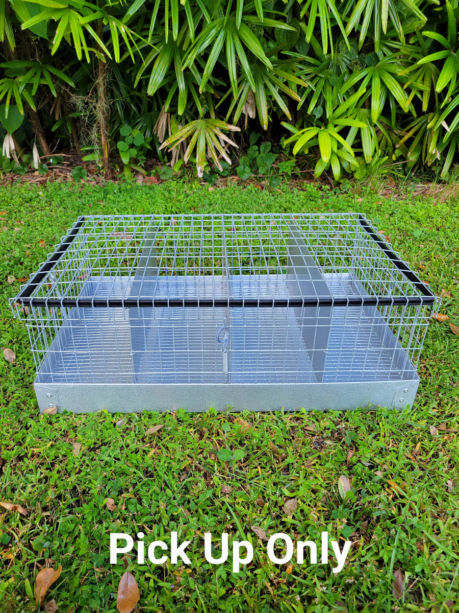 4 hole 2025 rabbit cage