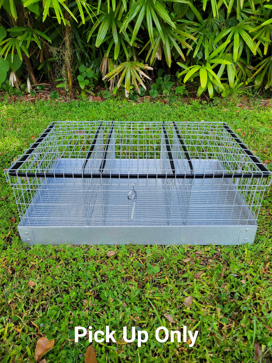 3 Hole Rabbit Carrier Ammerman Cage and Equipment