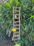 Dragonwood Ladder