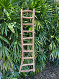 Dragonwood Ladder
