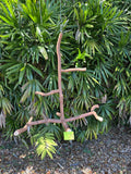 Dragonwood Hangining Perch Chandelier