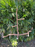 Dragonwood Hangining Perch Chandelier