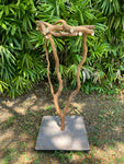 Dragonwood Perch Stand