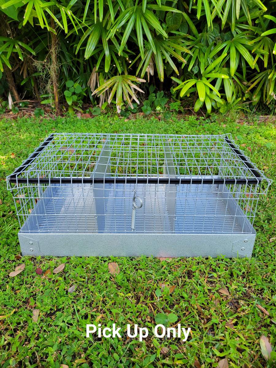 3 Hole Rabbit Carrier Ammerman Cage and Equipment