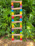 Dragonwood Ladder