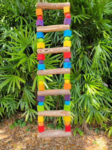 Dragonwood Ladder