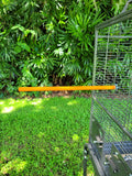 Colored Wooden Bird Perches