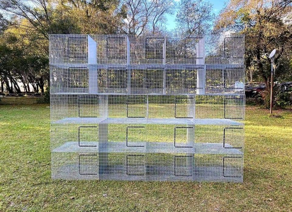 5 Hole Baby Saver Rabbit Run W Solid Dividers Ammerman Cage and